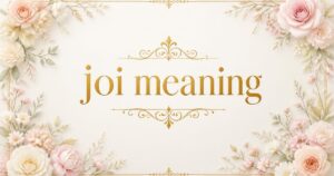 joi meaning