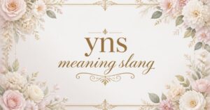 yns meaning slang